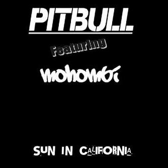 Pitbull ft Mohombi - sun in California