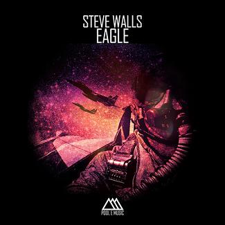 Steve Walls - eagle