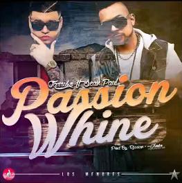 Farruko & Sean Paul - passion whine