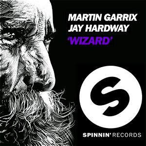 Martin Garrix & Jay Hardway - wizard