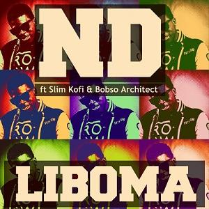 ND ft Slim Kofi & Bobso Architect - liboma