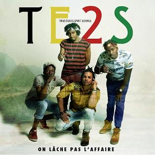 TE2S - on lâche pas l'affaire