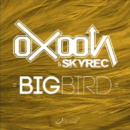Oxoon & Skyrec - bigbird