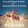 Tera and Player N Skillz ft Amanda Wilson & Pitbull - scared