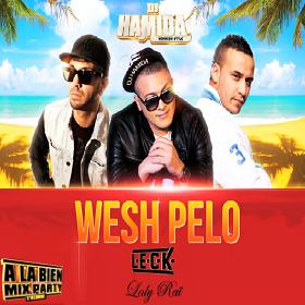 Dj Hamida ft L.E.C.K & Laly Rai - wesh pelo