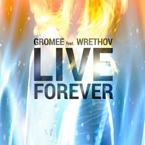Gromee ft Wrethov - live forever