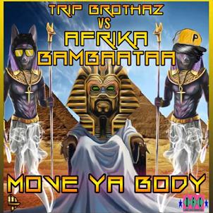 Trip Brothaz vs Afrika Bambaataa - move ya body