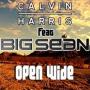 Calvin Harris ft Big Sean - open wide