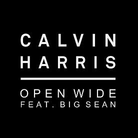 Calvin Harris ft Big Sean - open wide1