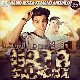 David Deseo & Manu Arevalo - gata salvaje