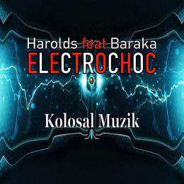 Harolds ft Baraka - electrochoc