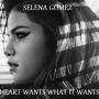 Selena Gomez - heart wants what it wants