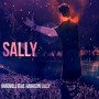 Hardwell ft Harrison - sally