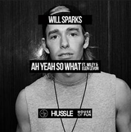 Will Sparks ft Wiley & Elen Levon - ah yeah so what