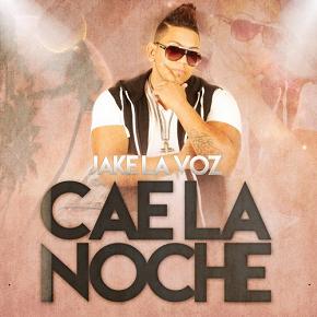 Jake La Voz - cae la noche