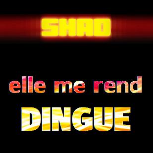 2013.Shad - elle me rend dingue