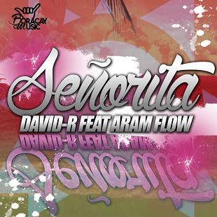 David-R ft Aram Flow - señorita