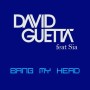 David Guetta ft Sia - bang my head1
