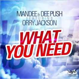 Mandee & Dee Push feat. Orry Jackson - What You Need (Radio Mix)