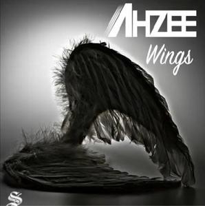 Ahzee - wings