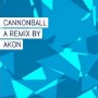 Showtek & Justin Prime vs Akon - cannonball (stick up)