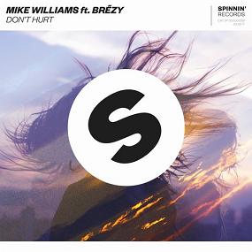 Mike Williams ft Brezy - don’t hurt