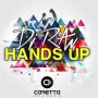 Dj R'an - hands up1