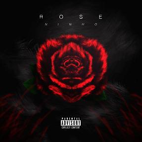 Ninho - rose1