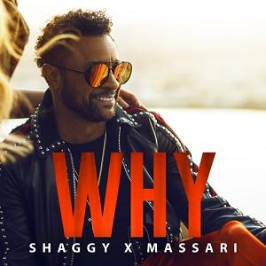 Shaggy & Massari - why