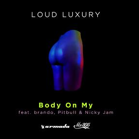 Loud Luxury ft brando, Pitbull & Nicky Jam - body on my