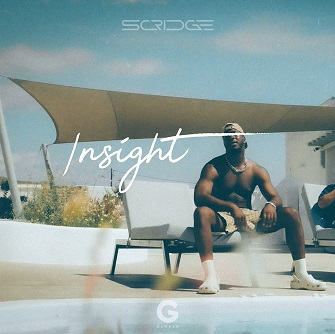 Scridge - insight