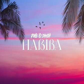 Pins & Dimeh - habiba