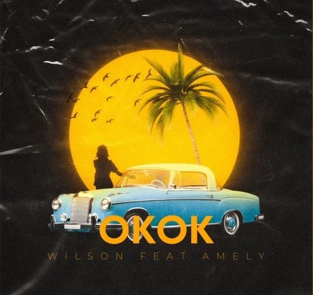 Wilson ft Amely - okok