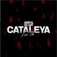 Gosch - Cataleya