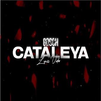 Gosch – cataleya